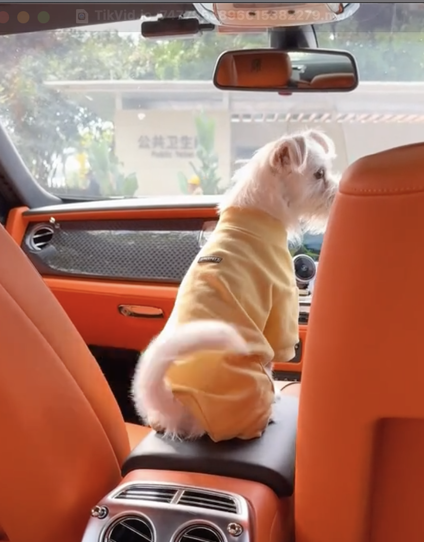 Đi lang thang gặp chủ tịch đi Rolls Royce, chỉ 35 giây đủ chứng minh "nghèo thì lâu chứ giàu thì mấy chốc" - Ảnh 4.