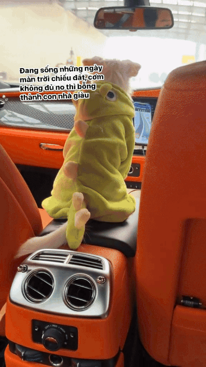 Đi lang thang gặp chủ tịch đi Rolls Royce, chỉ 35 giây đủ chứng minh "nghèo thì lâu chứ giàu thì mấy chốc" - Ảnh 2.