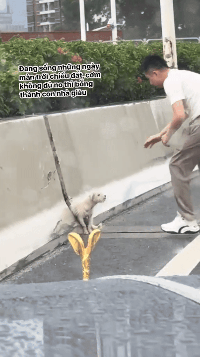 Đi lang thang gặp chủ tịch đi Rolls Royce, chỉ 35 giây đủ chứng minh "nghèo thì lâu chứ giàu thì mấy chốc" - Ảnh 1.