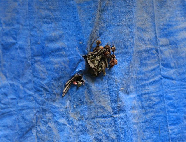 Vụ cháy chung cư mini ở Hà Nội: Nỗi ám ảnh chưa nguôi ngoai - Ảnh 6.