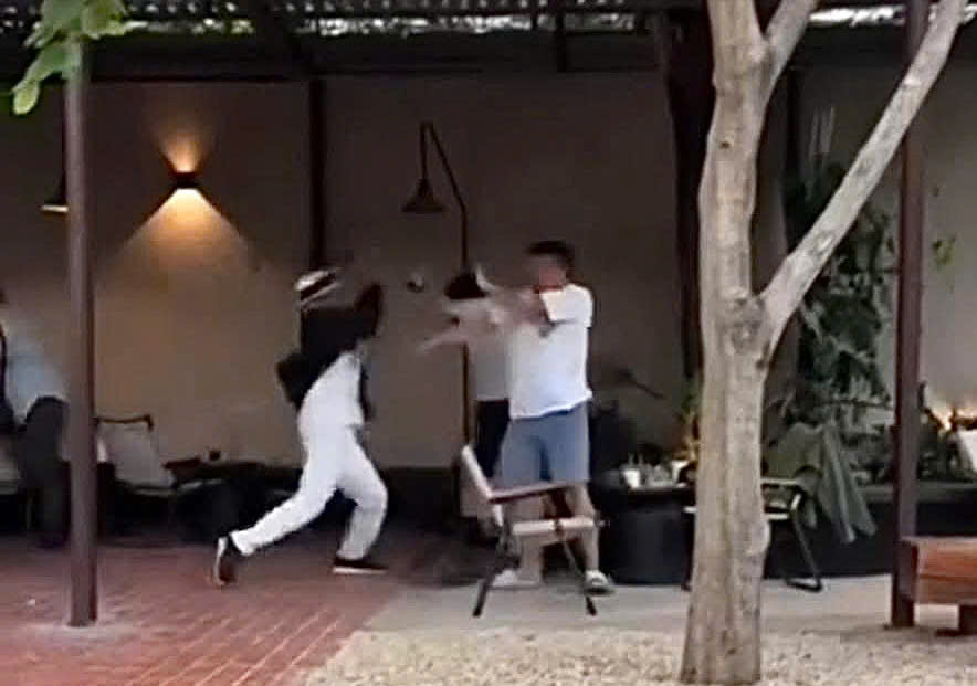 Lý do người giống ông Đặng Lê Nguyên Vũ đánh nhau với một người khác- Ảnh 1.