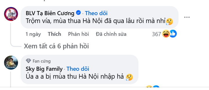 Sơn Tùng M-TP xác nhận tham gia show diễn ở Hạ Long- Ảnh 6.