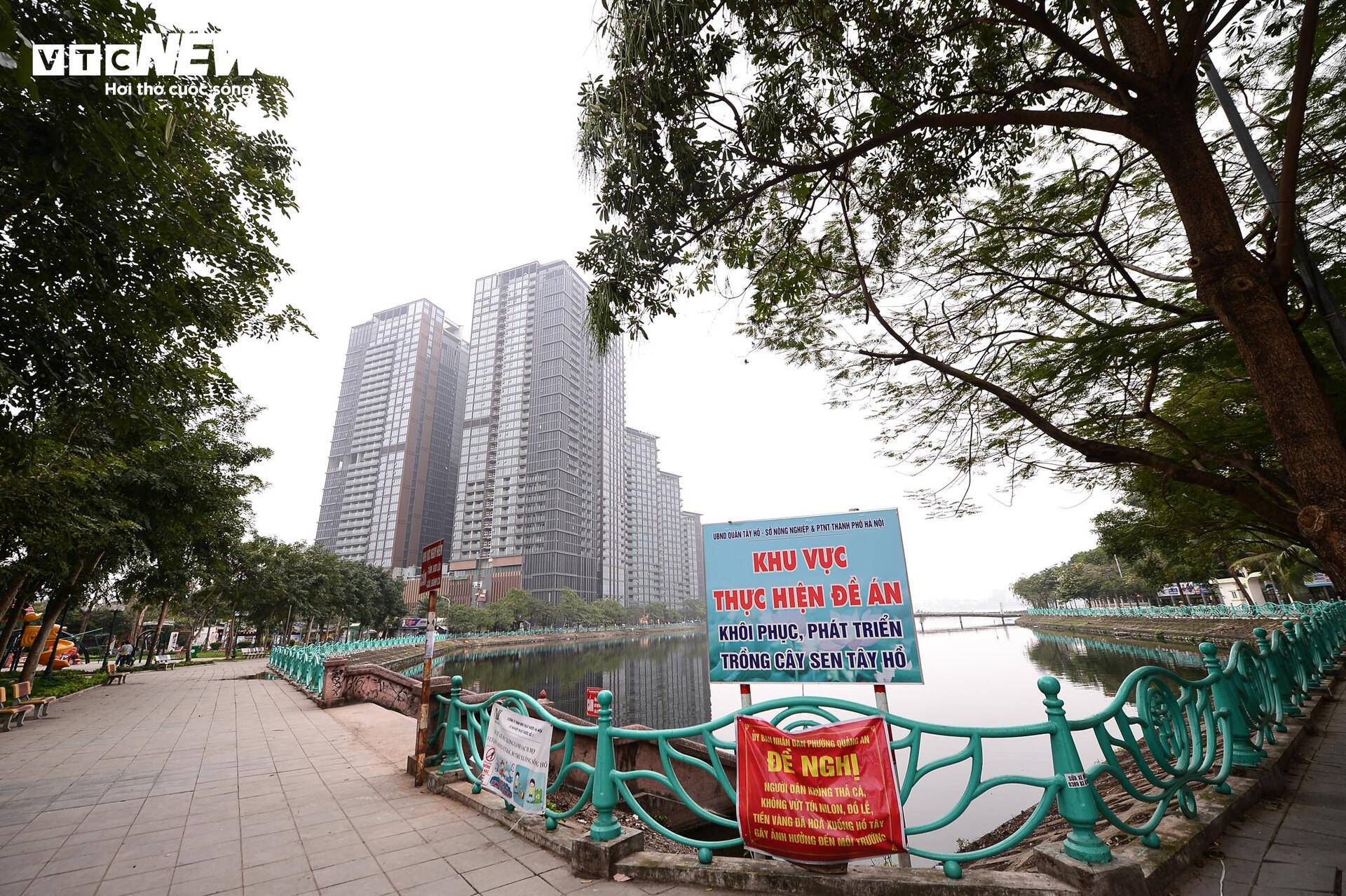 Hiện trạng và kế hoạch mở rộng đường ven Hồ Tây lên 21m - Ảnh 10.