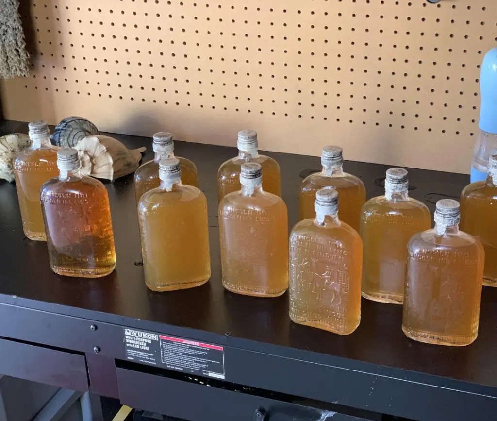 Dắt chó đi dạo phát hiện kho rượu whisky cổ trên bãi biển Mỹ - Ảnh 2.