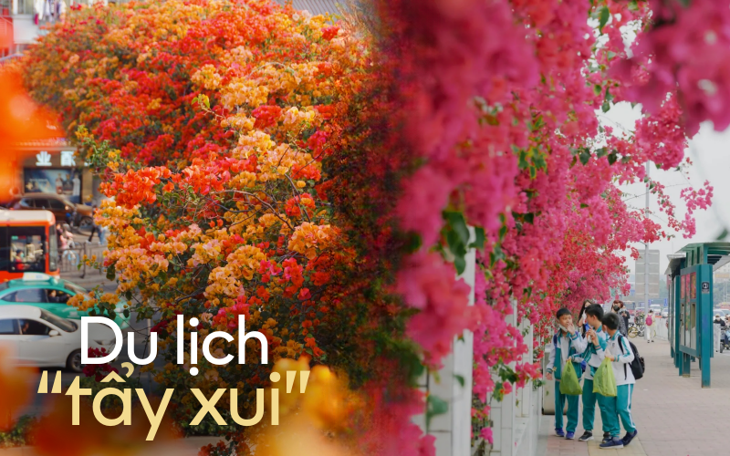 Đ&acirc;y l&agrave; l&yacute; do nhiều người đi du lịch Trung Quốc thường check-in những nơi c&oacute; hoa giấy - Ảnh 1.