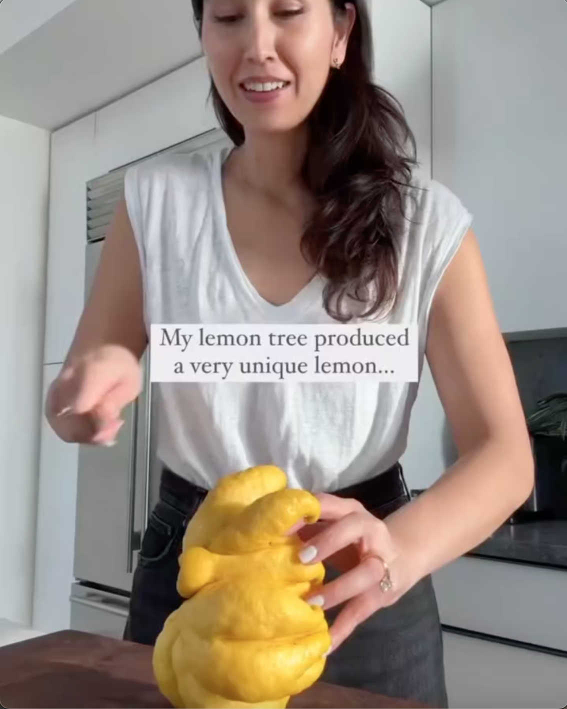 Xuất hiện quả chanh to ngang c&aacute;i chảo trong vườn, người phụ nữ thử bổ nhưng khi nh&igrave;n thấy thứ b&ecirc;n trong th&igrave; ng&atilde; "ngửa" - Ảnh 1.