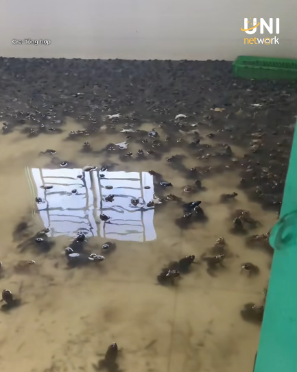 Thu&ecirc; nh&agrave; nhưng kh&ocirc;ng phải để cho người ở, thanh ni&ecirc;n khiến gia chủ sốc nặng khi mở cửa ph&ograve;ng kiểm tra- Ảnh 1.