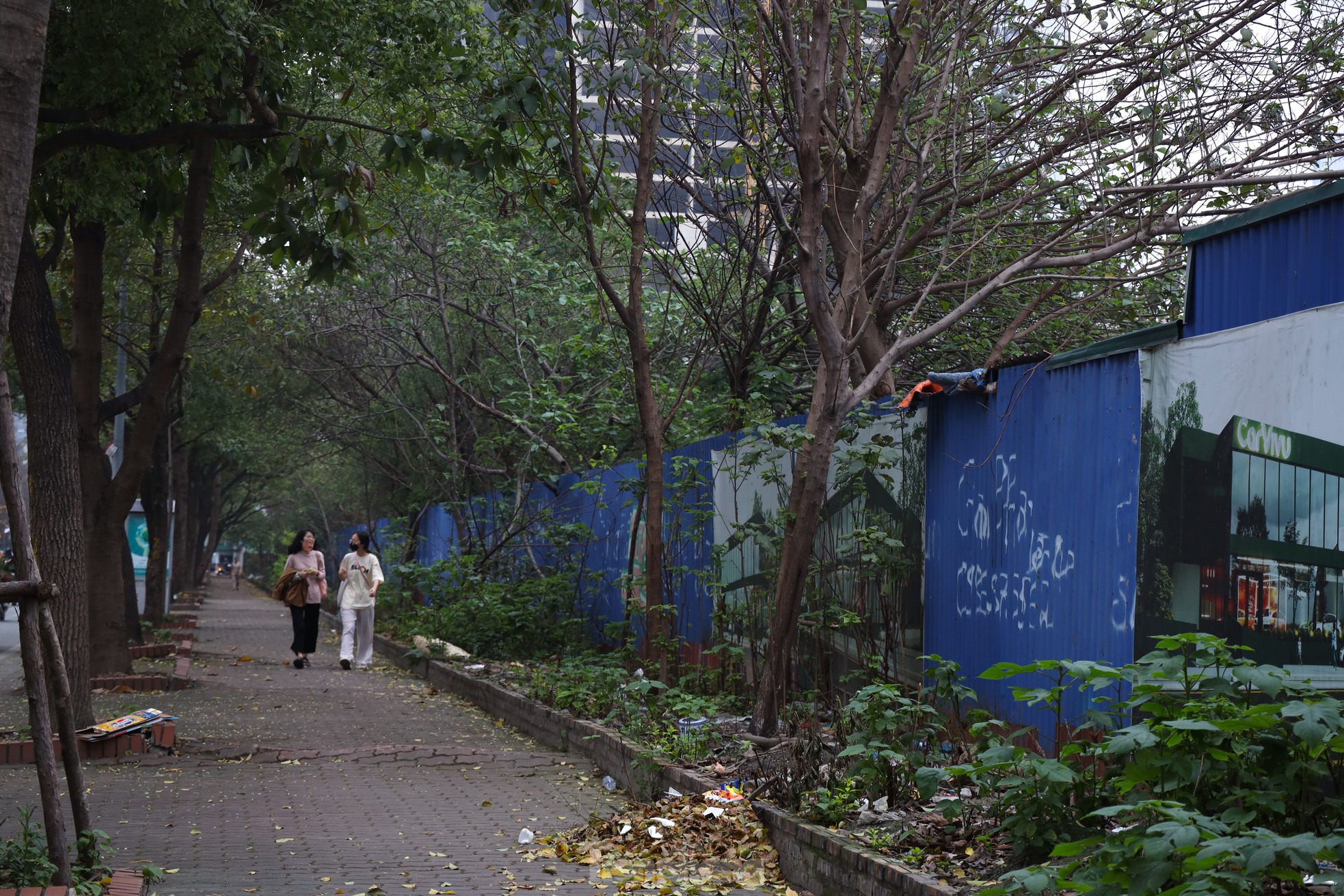 Dự án công viên 10ha Hà Nội bỏ hoang hơn một thập kỷ - Ảnh 2.