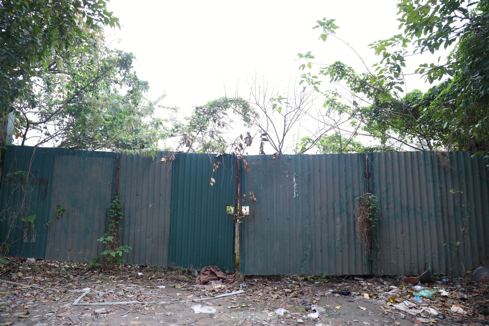 Dự án công viên 10ha Hà Nội bỏ hoang hơn một thập kỷ - Ảnh 5.