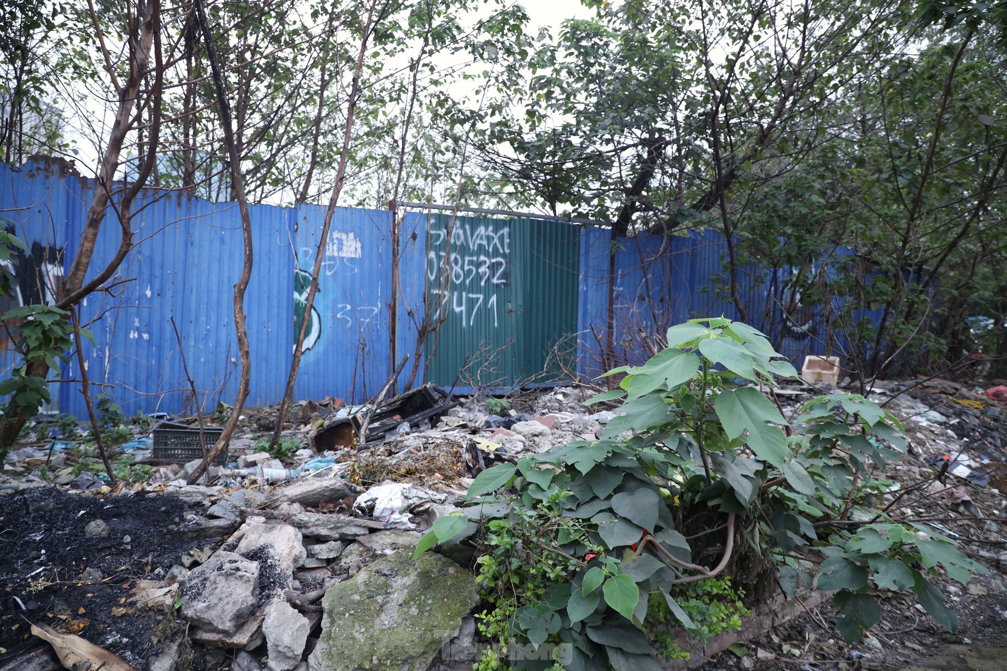 Dự án công viên 10ha Hà Nội bỏ hoang hơn một thập kỷ - Ảnh 7.