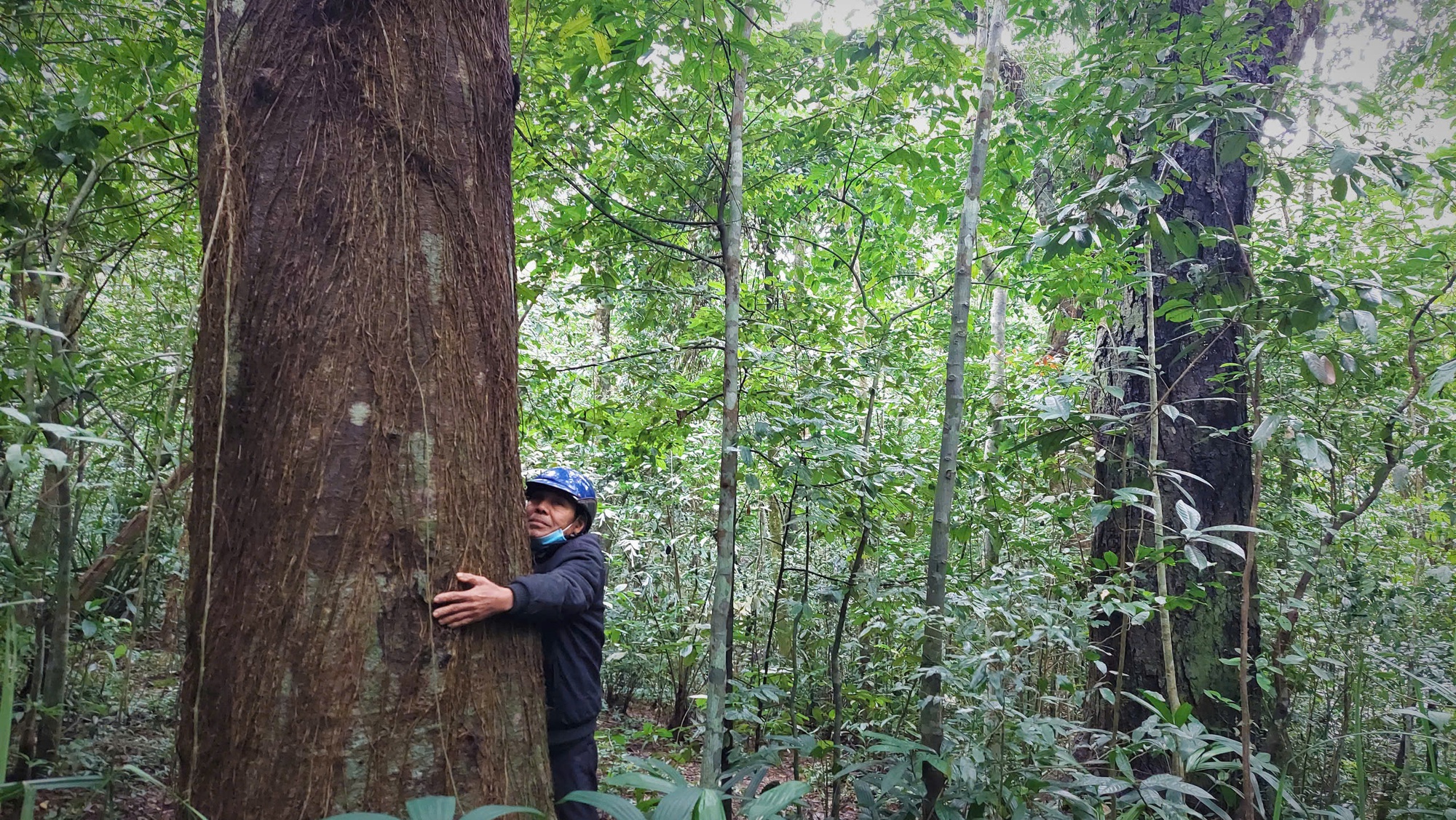 Chuyện lạ: Người đàn ông có tên được đặt cho loài thực vật mới ở Quảng Trị- Ảnh 2. Chuyện lạ: Người đàn ông có tên được đặt cho loài thực vật mới ở Quảng Trị- Ảnh 2.