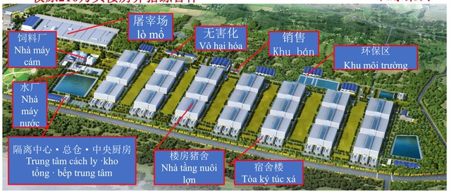 DN đứng sau "chung cư nuôi heo" đầu tiên Việt Nam: Mua công ty thứ 15 sau khi hợp tác với ông lớn Trung Quốc, cần 2.000 lao động cho 100 trang trại - Ảnh 2.