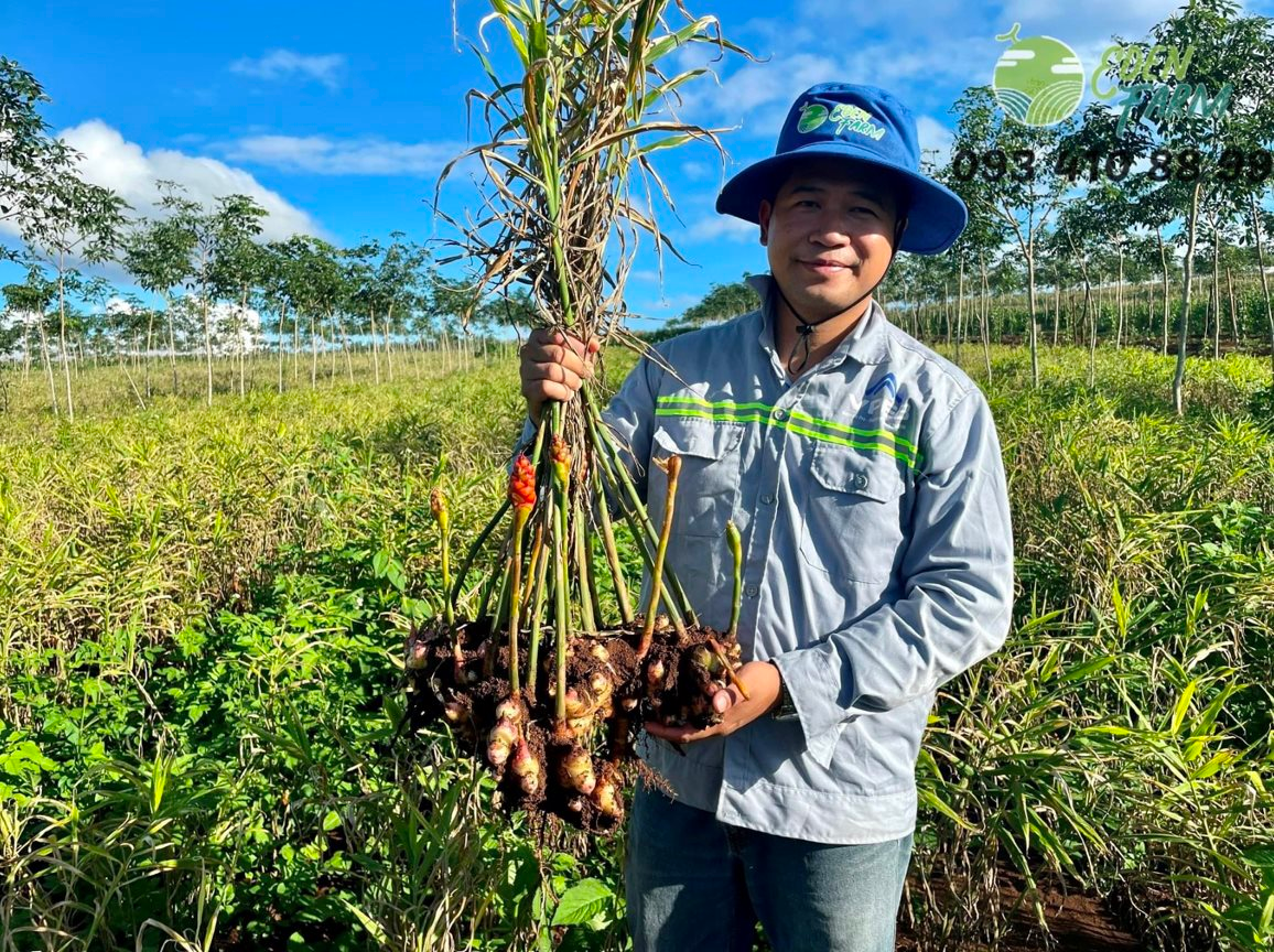 Việt Nam được kỳ vọng Top 1 nông nghiệp bền vững toàn ASEAN, dân cơ khí, mỏ than... khởi nghiệp làm nông kiếm hàng chục tỷ - Ảnh 3.