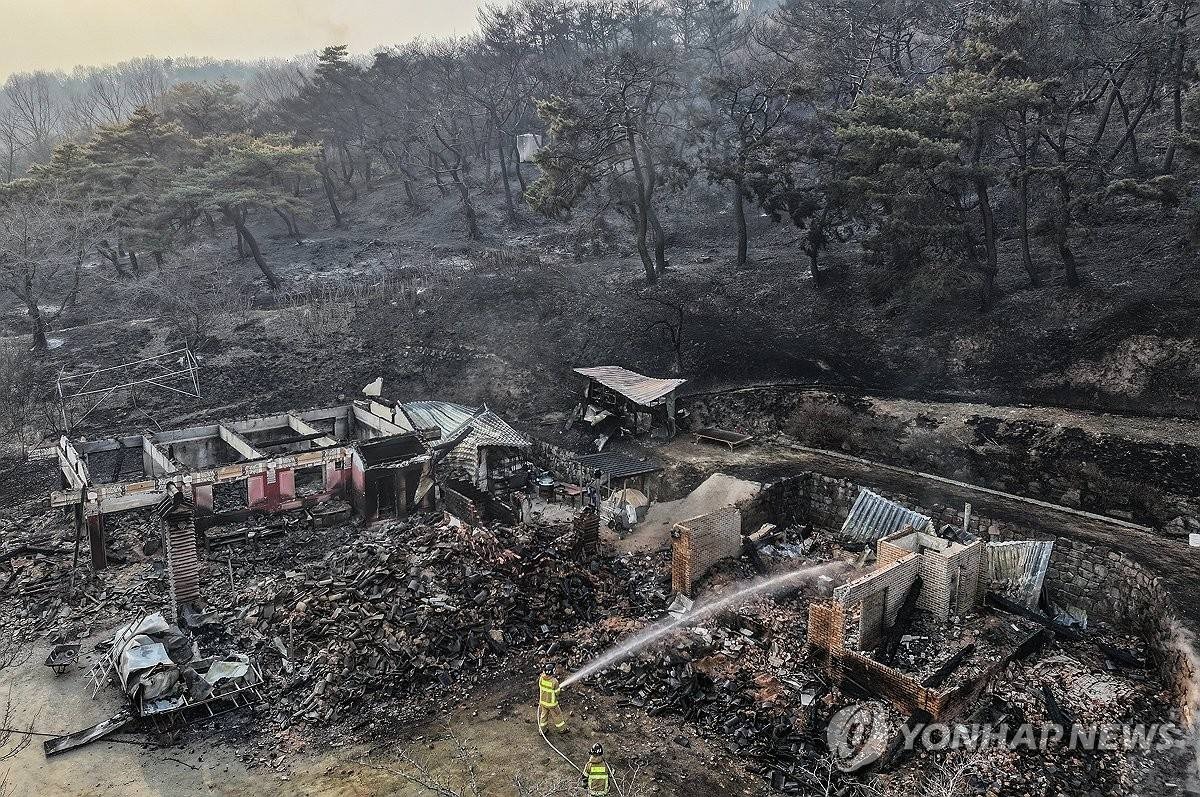 Thảm họa cháy rừng tại Hàn Quốc: 4 Lính cứu hỏa thiệt mạng - Ảnh 10.