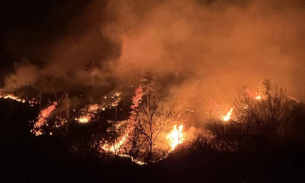 Thảm họa cháy rừng tại Hàn Quốc: 4 Lính cứu hỏa thiệt mạng - Ảnh 2.