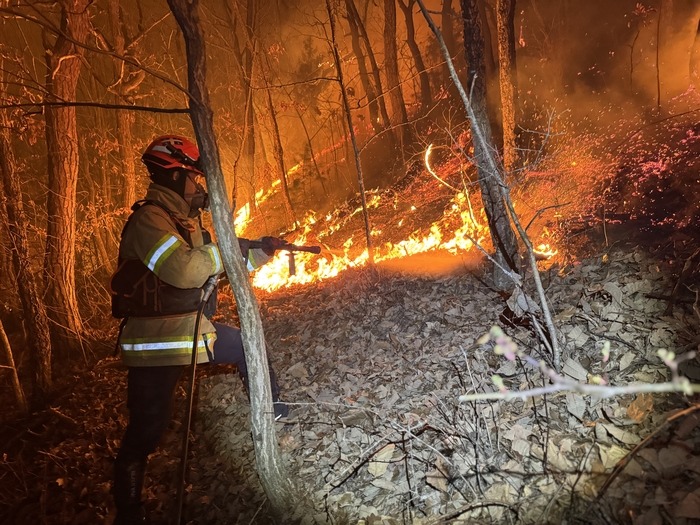 Thảm họa cháy rừng tại Hàn Quốc: 4 Lính cứu hỏa thiệt mạng - Ảnh 6.