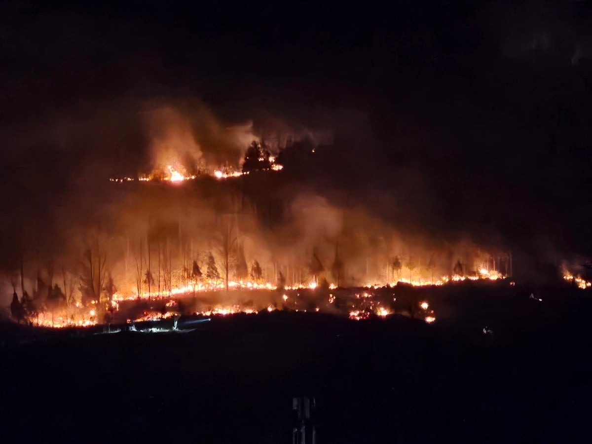 Thảm họa cháy rừng tại Hàn Quốc: 4 Lính cứu hỏa thiệt mạng - Ảnh 3.