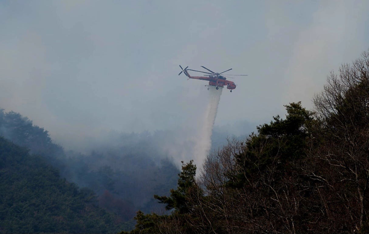 Thảm họa cháy rừng tại Hàn Quốc: 4 Lính cứu hỏa thiệt mạng - Ảnh 7.