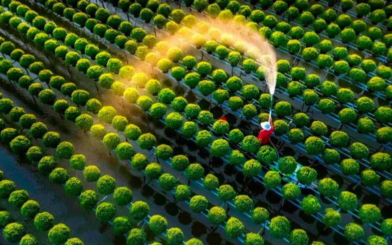 Hạn h&aacute;n khốc liệt ở T&acirc;y Nguy&ecirc;n: N&ocirc;ng d&acirc;n chật vật giữ nước cho m&ugrave;a m&agrave;ng - Ảnh 5.