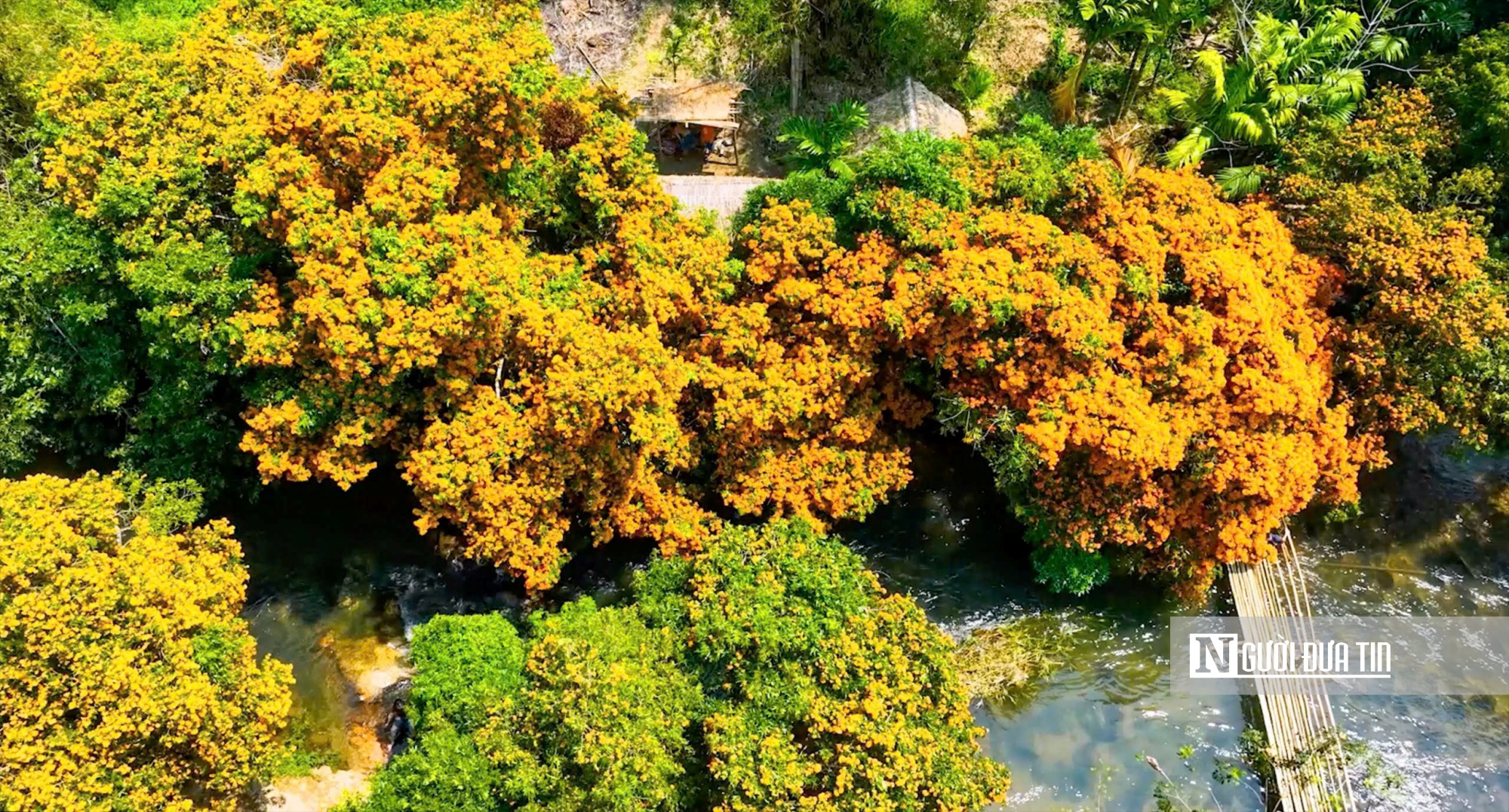 Trải nghiệm vẻ đẹp hoang sơ của n&uacute;i rừng Vĩnh Thạnh - Ảnh 8.