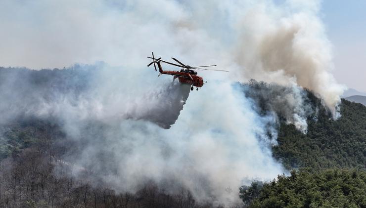 Ch&aacute;y rừng kinh ho&agrave;ng ở H&agrave;n Quốc: &ldquo;C&acirc;y thi&ecirc;ng&rdquo; 900 năm tuổi bị thi&ecirc;u rụi ho&agrave;n to&agrave;n, hiện trường tan hoang đến thảm thương- Ảnh 3.