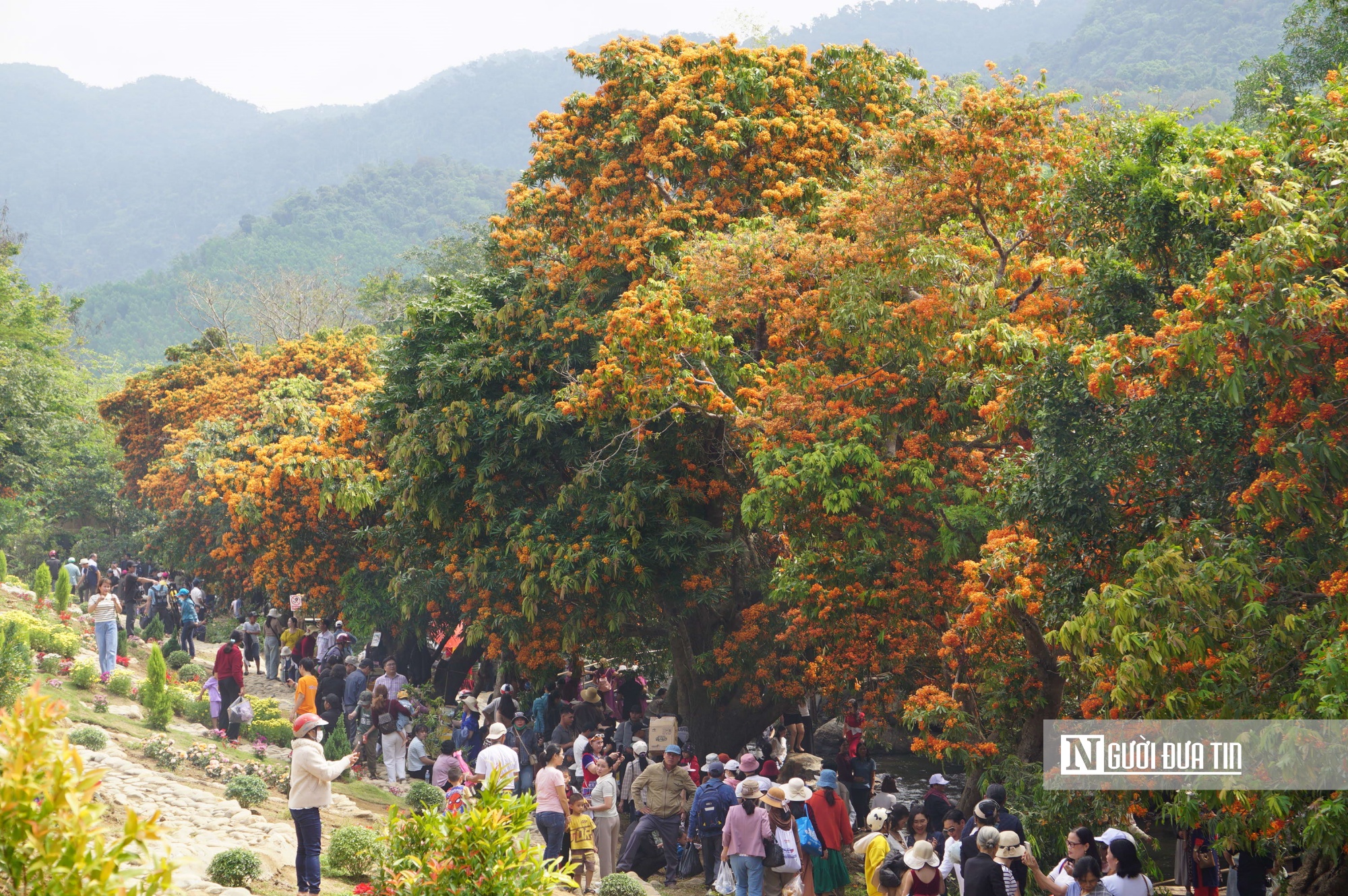 Trải nghiệm vẻ đẹp hoang sơ của n&uacute;i rừng Vĩnh Thạnh - Ảnh 12.