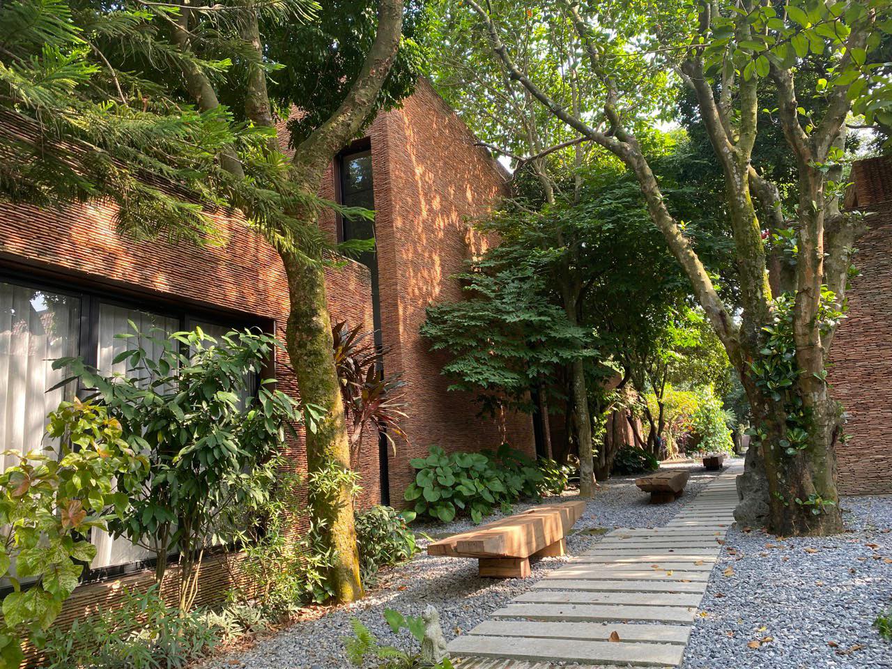 Xuân Hinh khoe cận cảnh bảo tàng 5000m2, được giám tuyển thiết kế nổi tiếng lặn lội từ Mỹ đến thăm- Ảnh 7.