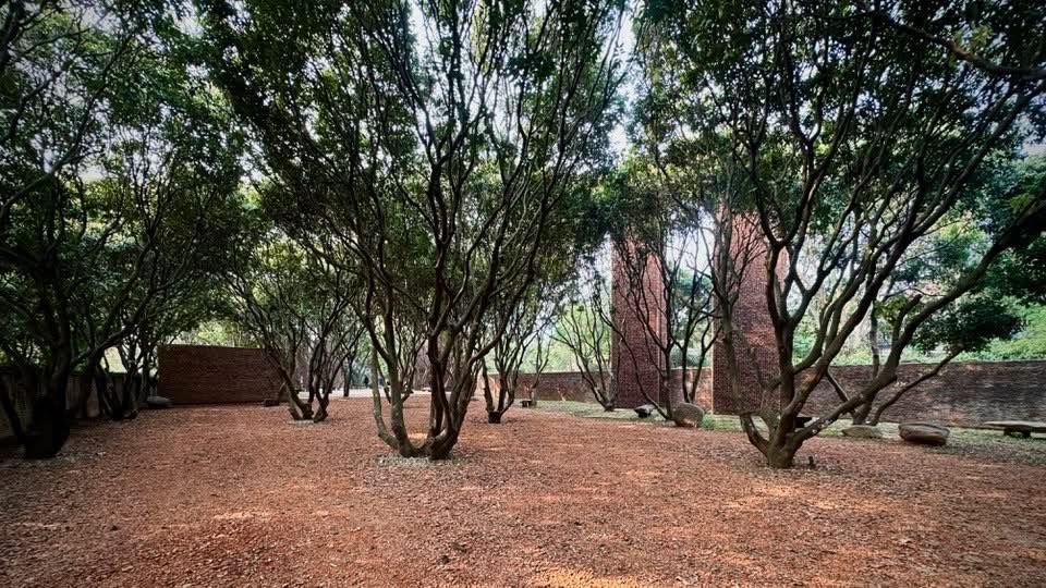 Xuân Hinh khoe cận cảnh bảo tàng 5000m2, được giám tuyển thiết kế nổi tiếng lặn lội từ Mỹ đến thăm- Ảnh 4.