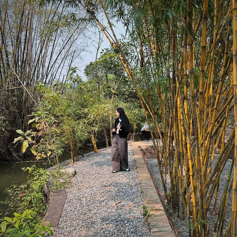 Xuân Hinh khoe cận cảnh bảo tàng 5000m2, được giám tuyển thiết kế nổi tiếng lặn lội từ Mỹ đến thăm- Ảnh 8.