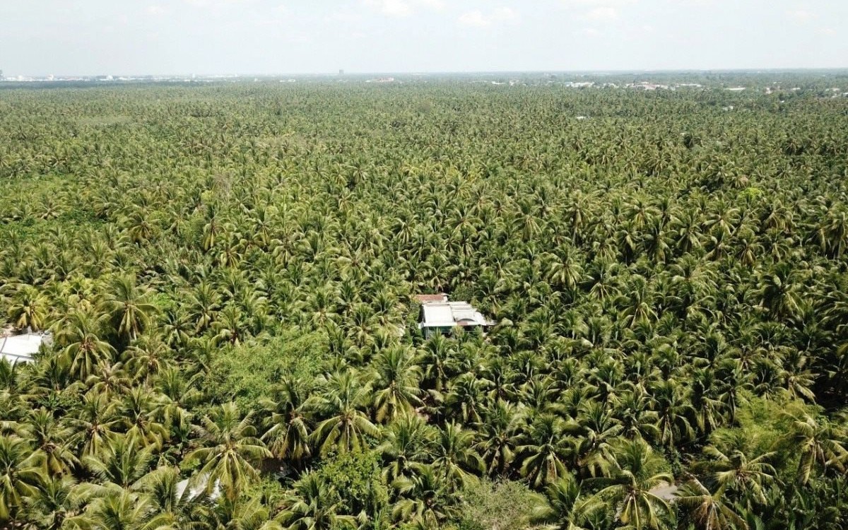 3 tháng 2025: Một địa phương Việt Nam đã thu hơn 56.000 tỷ đồng nhờ du lịch, hướng tới 260.000 tỷ đồng - Ảnh 2.