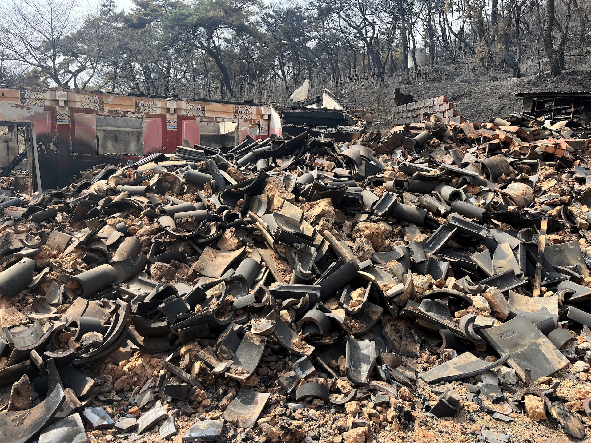 Thảm họa ch&aacute;y rừng H&agrave;n Quốc bước sang ng&agrave;y thứ 5: 10.000 l&iacute;nh cứu hỏa vẫn kh&ocirc;ng dập được lửa, số người chết tiếp tục tăng, di t&iacute;ch ng&agrave;n năm chỉ c&ograve;n lại tro t&agrave;n- Ảnh 11.