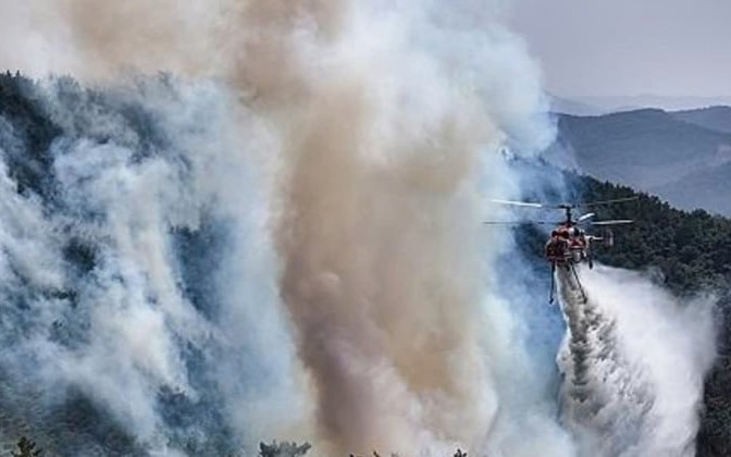 Cảnh s&aacute;t bắt giữ người đ&agrave;n &ocirc;ng bị nghi g&acirc;y ra vụ ch&aacute;y rừng tồi tệ nhất trong lịch sử H&agrave;n Quốc - Ảnh 2.