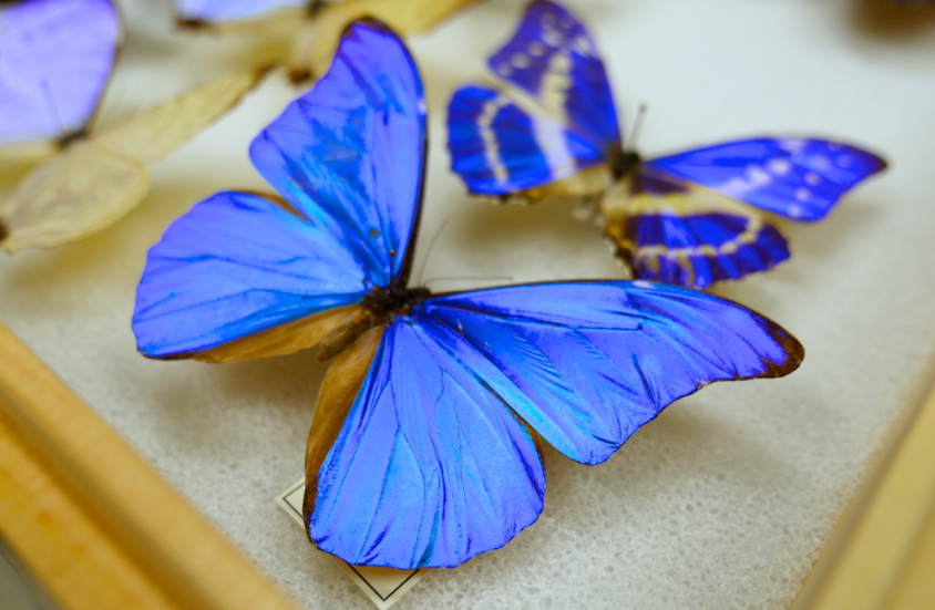 Mu&ocirc;n m&agrave;u mu&ocirc;n vẻ tấm pin năng lượng mặt trời- Ảnh 4.