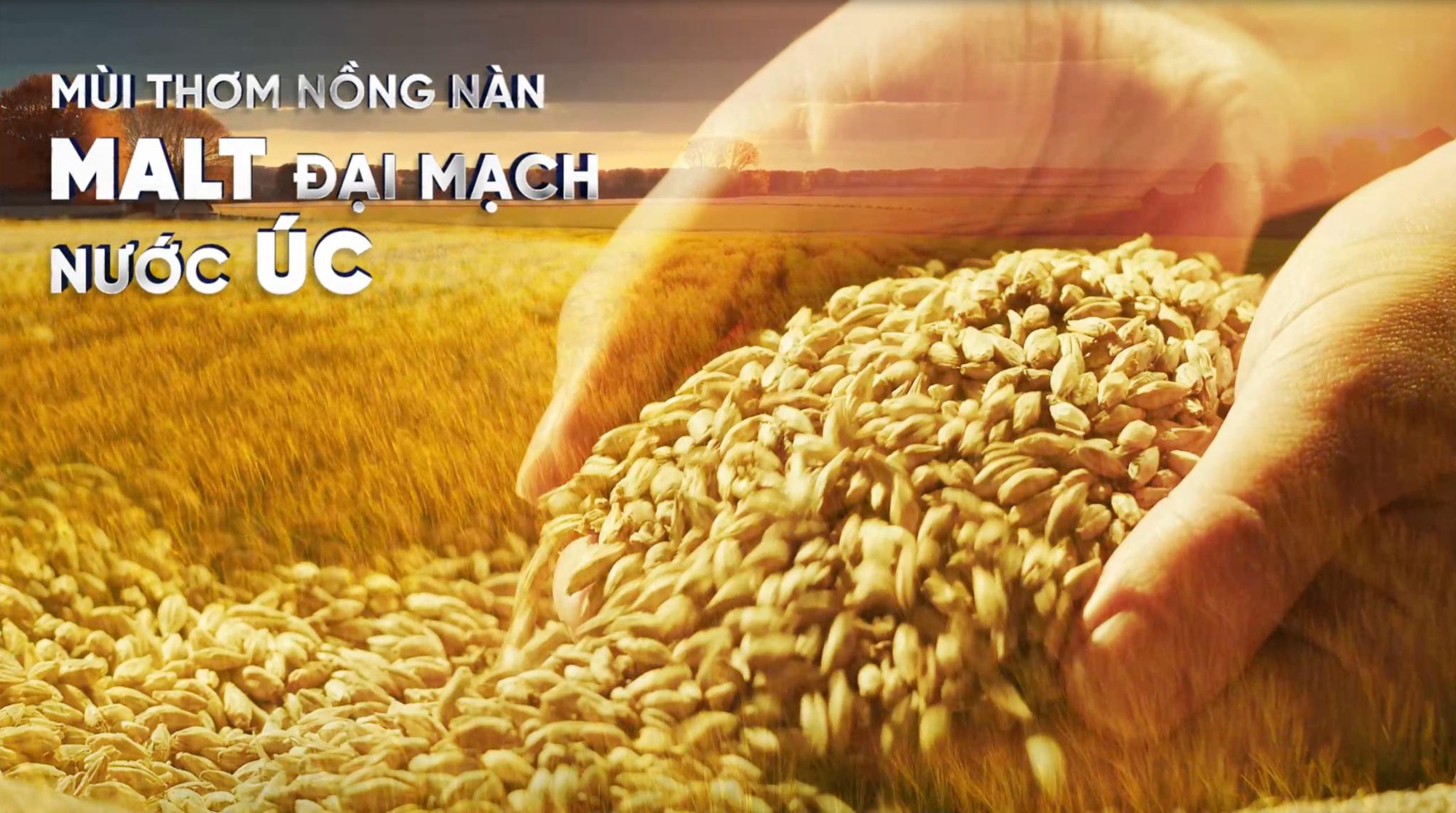 Cơ hội v&agrave;ng hợp t&aacute;c kinh doanh c&ugrave;ng Bia Hơi Hạ Long - Ảnh 2.