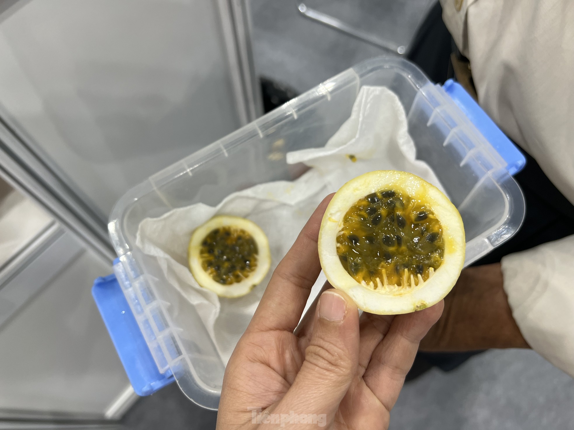 Chanh leo độc lạ giá cao chót vót vẫn không có mà bán- Ảnh 2.