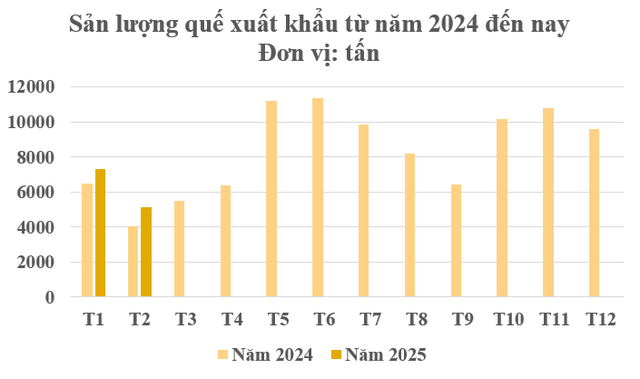 Một tỉnh Tây Bắc trồng 80.000 ha cây gia vị lâu đời nhất thế giới: Từ rễ đến lá đều hái ra tiền, Việt Nam thu hơn 800 tỷ đồng từ đầu năm - Ảnh 1.