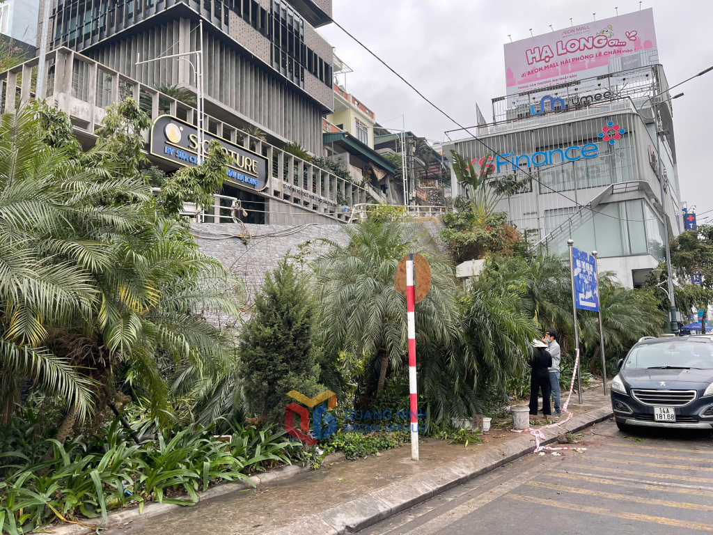 Tai nạn máy xúc tại Hạ Long gây tử vong cho tài xế - Ảnh 2.