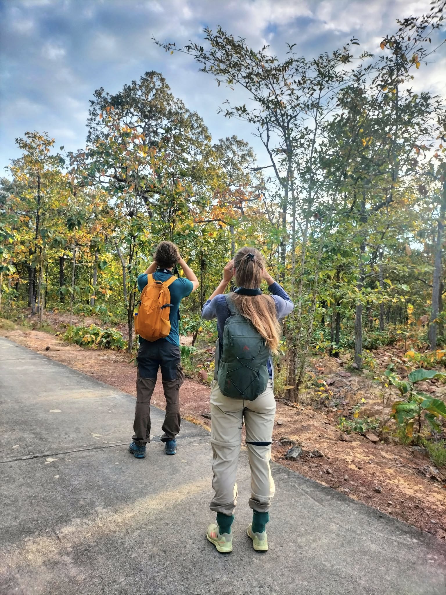 Mê mẩn mùa lá rụng ở rừng khộp Vườn quốc gia Yok Đôn - Ảnh 8. Mê mẩn mùa lá rụng ở rừng khộp Vườn quốc gia Yok Đôn - Ảnh 8.