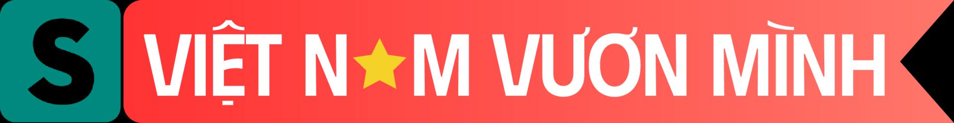 Việt Nam Vươn mình
