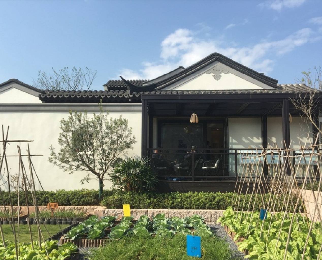 2 chị em rủ nhau về quê xây nhà để nghỉ hưu: Chưa đầy 1 năm đã “đường ai nấy đi”, khó có thể nói chuyện- Ảnh 1.