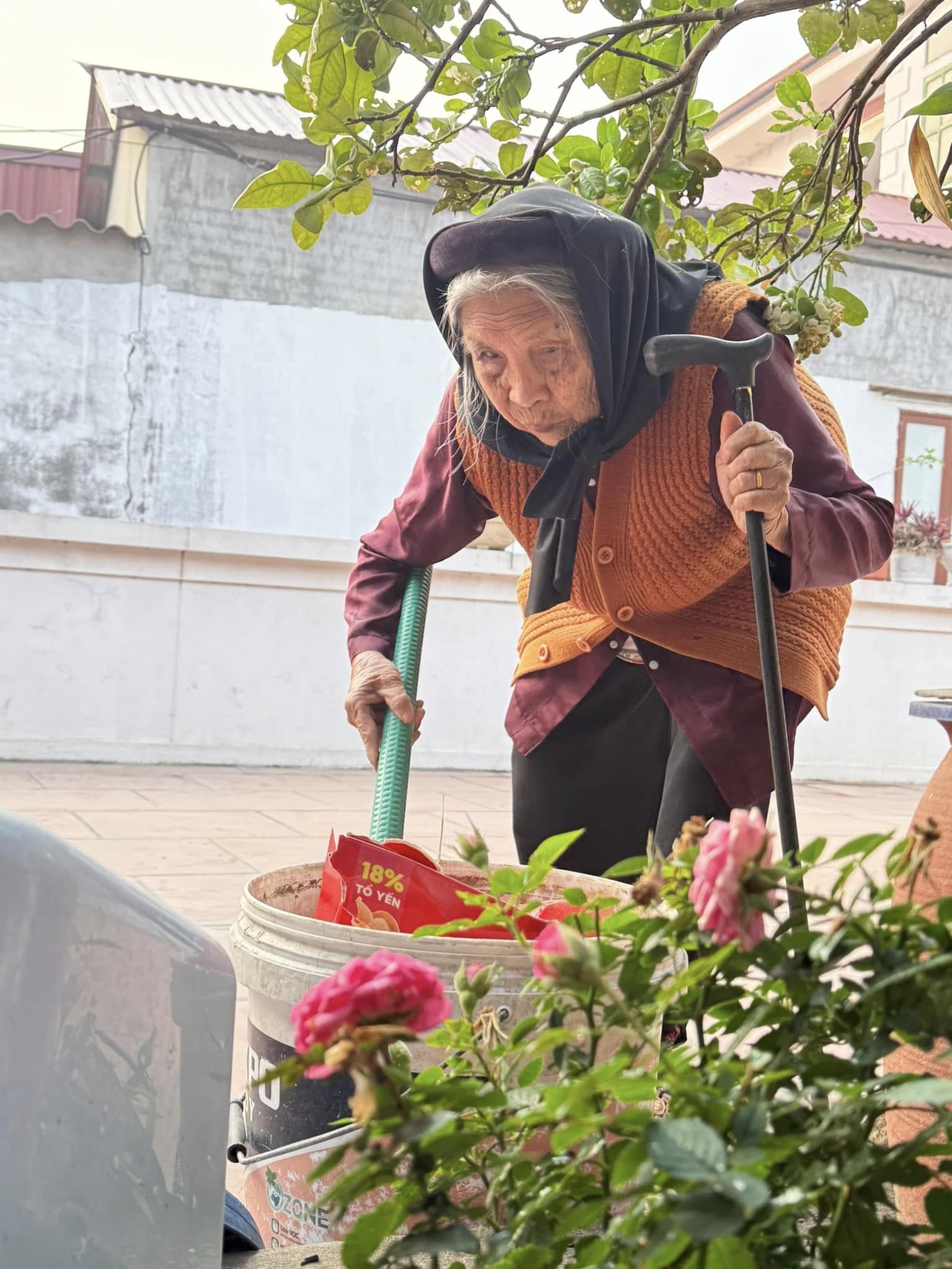 MC Ngô Bá Lục đau đớn thông báo U Soạn qua đời, hàng trăm nghệ sĩ chia buồn: "Sốc quá" - Ảnh 5.