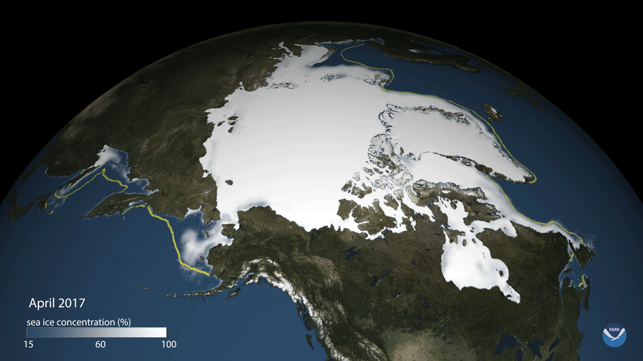 Thước phim đầu ti&ecirc;n trong lịch sử ghi lại cảnh gấu Bắc Cực dắt con rời hang ngủ đ&ocirc;ng: Tr&ocirc;ng rất đ&aacute;ng y&ecirc;u, nhưng c&aacute;c nh&agrave; khoa học cho biết đ&oacute; l&agrave; một điềm b&aacute;o chẳng l&agrave;nh- Ảnh 11.