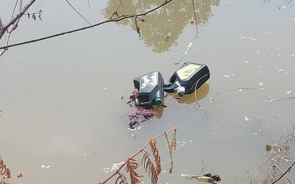 3 con giáp chuẩn bị đón mùa hè rực rỡ, sự nghiệp thăng hoa, tài lộc đủ đầy, cuộc sống viên mãn  - Ảnh 4.