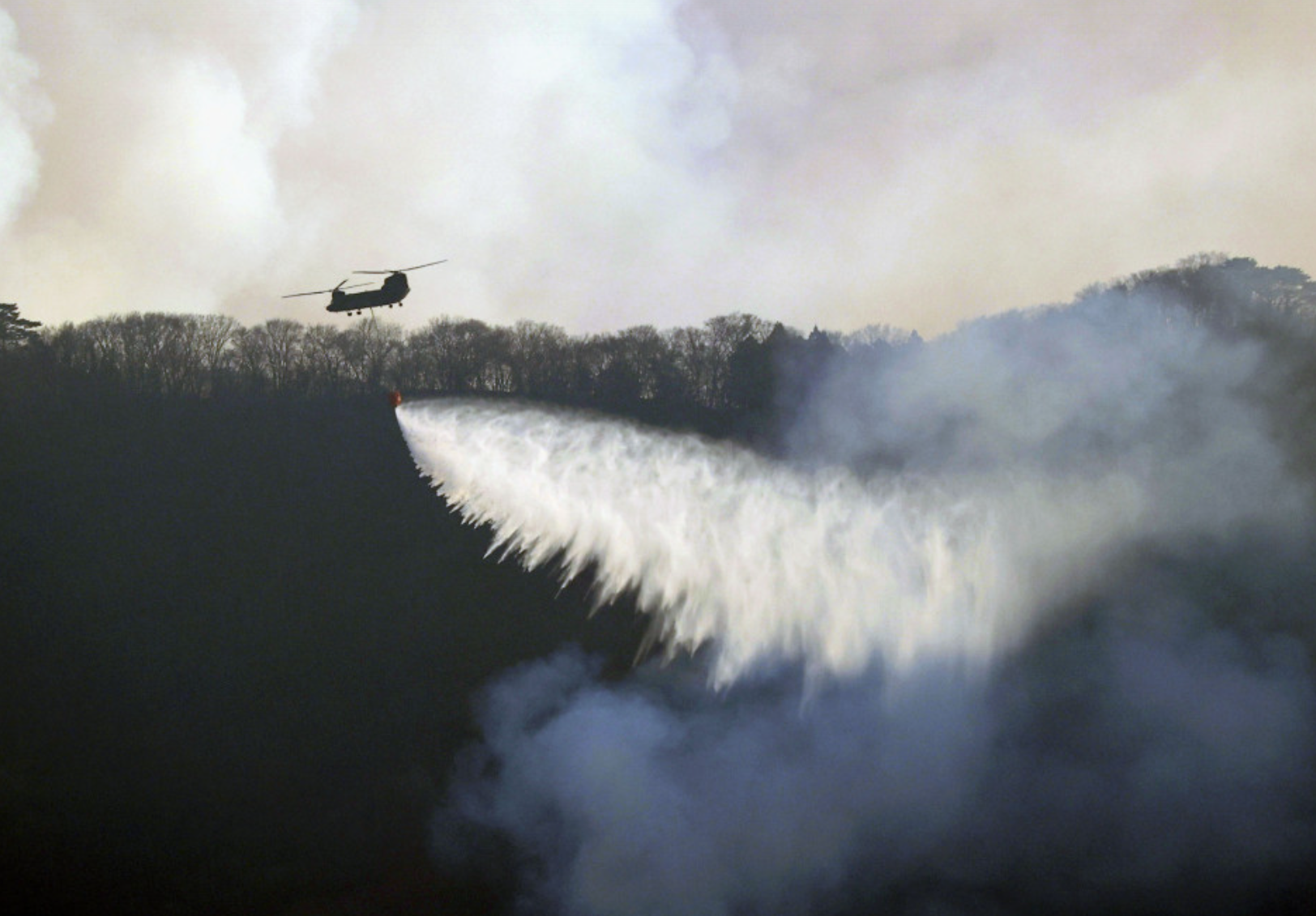 Đám cháy rừng tồi tệ nhất trong nửa thế kỷ ở Nhật Bản lan rộng- Ảnh 3. Đám cháy rừng tồi tệ nhất trong nửa thế kỷ ở Nhật Bản lan rộng- Ảnh 3.