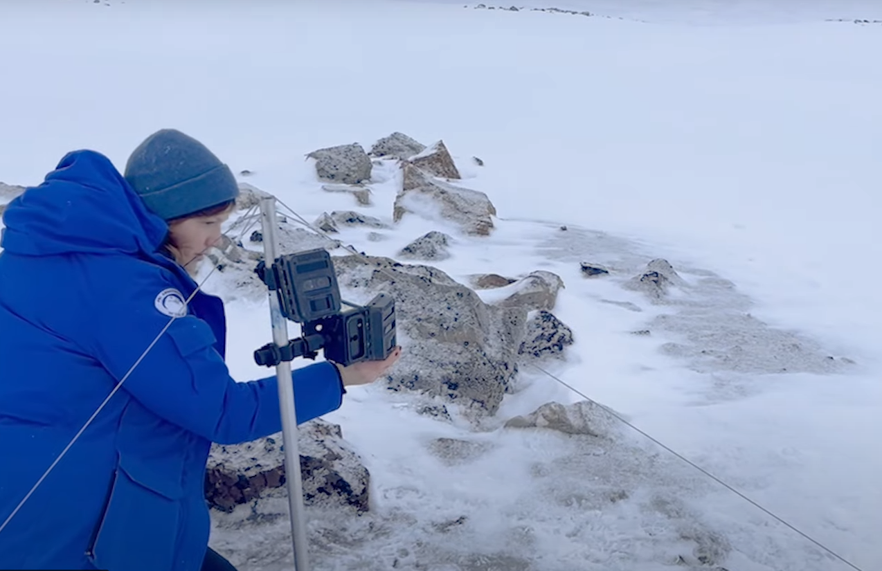 Thước phim đầu ti&ecirc;n trong lịch sử ghi lại cảnh gấu Bắc Cực dắt con rời hang ngủ đ&ocirc;ng: Tr&ocirc;ng rất đ&aacute;ng y&ecirc;u, nhưng c&aacute;c nh&agrave; khoa học cho biết đ&oacute; l&agrave; một điềm b&aacute;o chẳng l&agrave;nh- Ảnh 6.