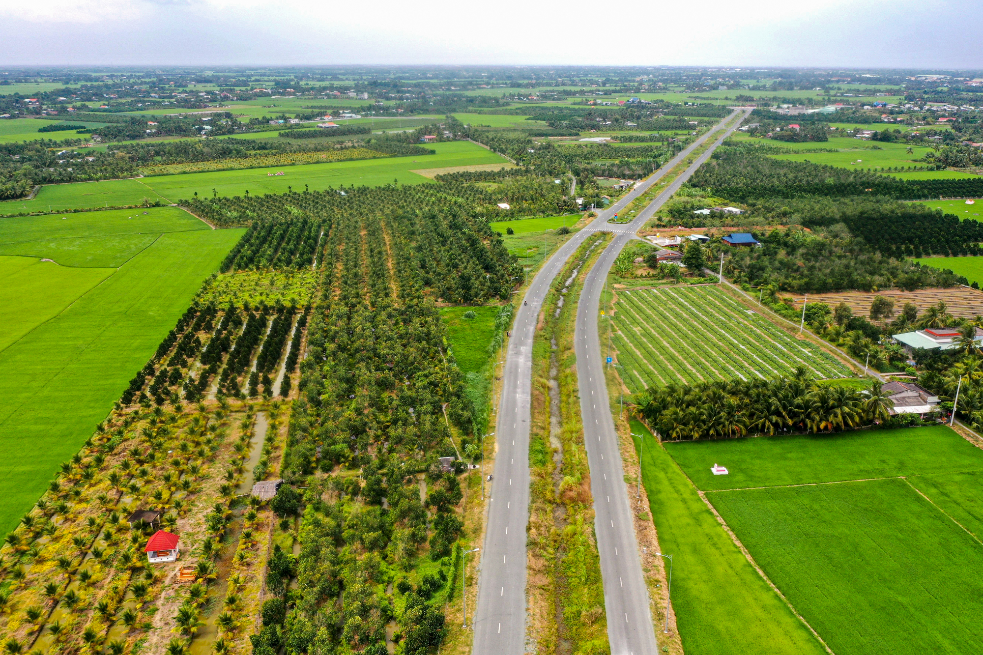 Đường vành đai Tân An hơn 3 . 000 Tỷ với 5 cây cầu vượt tiến độ 2 năm - Ảnh 2.