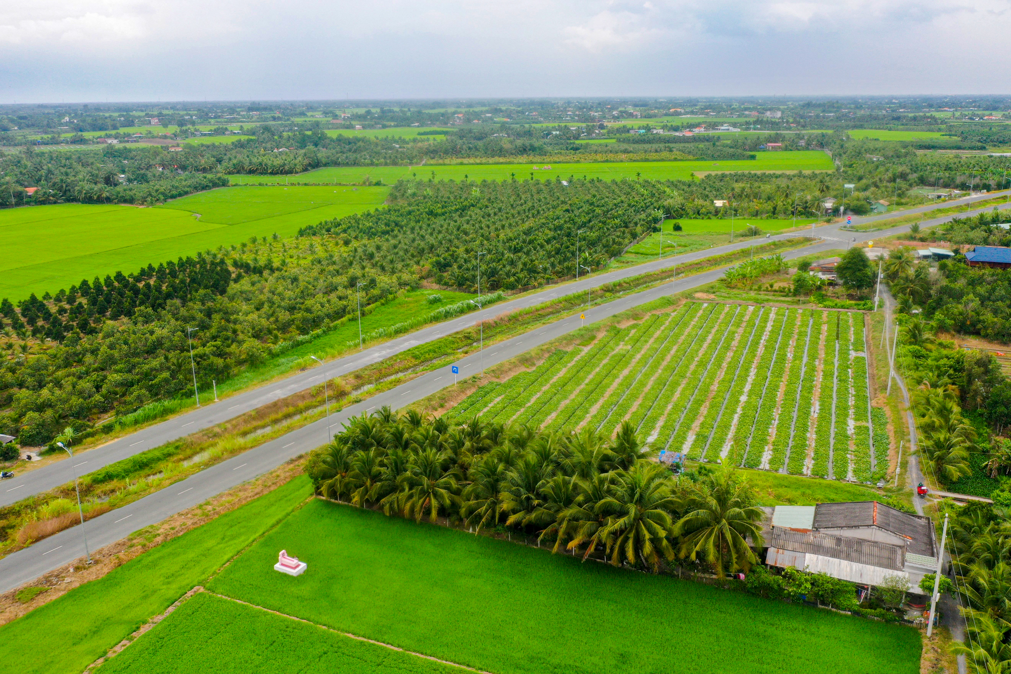 Đường vành đai Tân An hơn 3 . 000 Tỷ với 5 cây cầu vượt tiến độ 2 năm - Ảnh 6.