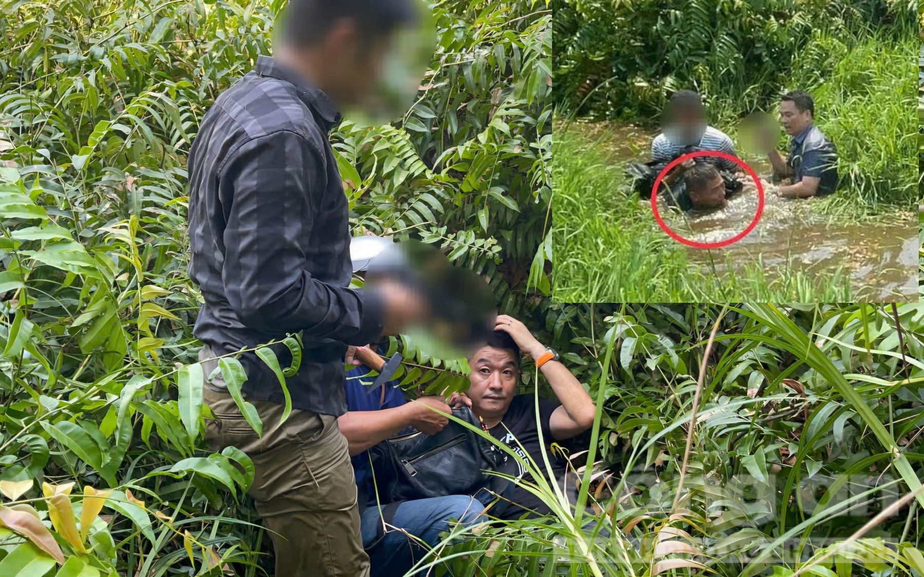 “Tham” 2 con cá bị rơi: Liệu có dấu hiệu của tội lừa đảo? - Ảnh 2.