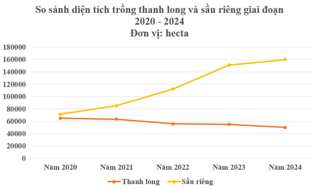 Vị thế trái ngược của 2 loại trái cây ‘bạc tỷ’ Việt Nam - Ảnh 2.