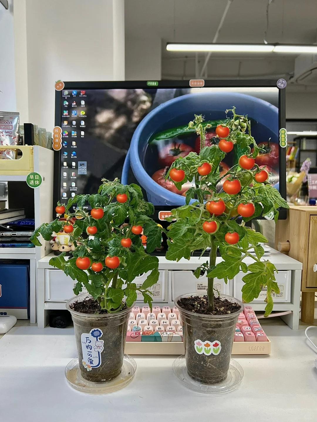 Sau khi uống hết ly tr&agrave; sữa, c&ocirc; g&aacute;i l&agrave;m 1 điều khiến cả c&otilde;i mạng thừa nhận: Đỉnh n&oacute;c!- Ảnh 2.